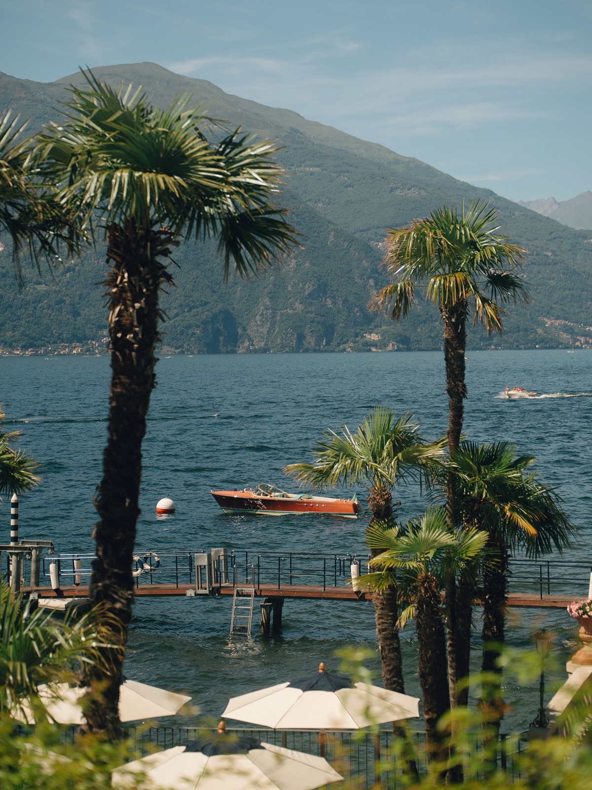 Palm trees along the Lake Como shore